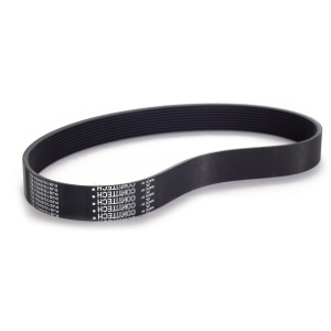 Ремень 16 PL 1562 4303136103 ZR фото