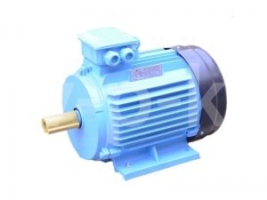 Электродвигатель АИР 100 S2 для компрессора АСО-Бежецк фото