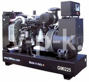 Дизельный генератор GMGen Power Systems GMI225