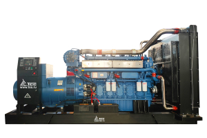 Дизельный генератор ТСС АД-800С-Т400-1РМ26 028070 фото