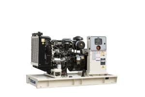 Дизельный генератор TEKSAN TJ110PE5C  фото