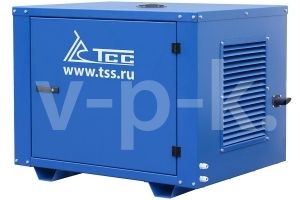 Бензиновый генератор ТСС SGG 6000EHNA в погодозащитном кожухе  фото