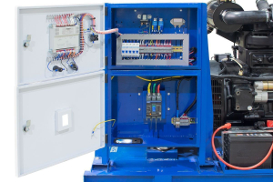 Дизельный генератор ТСС АД-60С-Т400 в контейнере 025398 промышленный фото